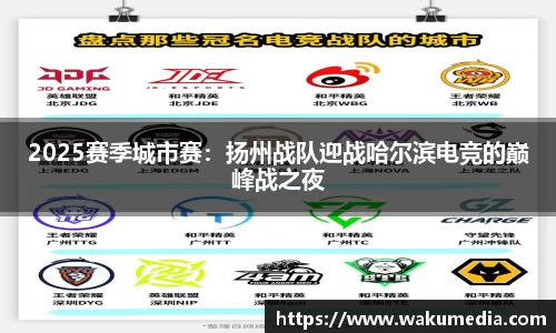 2025赛季城市赛：扬州战队迎战哈尔滨电竞的巅峰战之夜